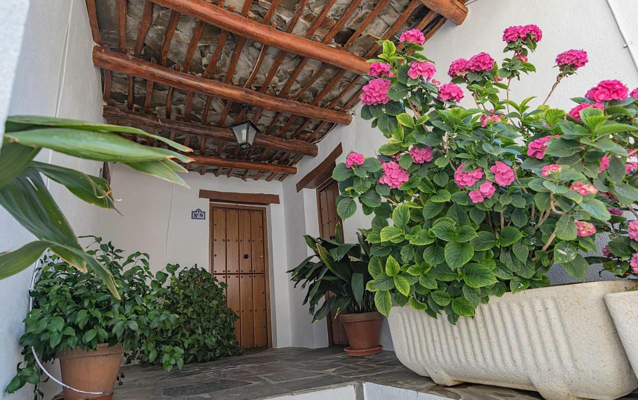 Apartamentos Rurales Las Chimeneas Capileira Bagian luar foto